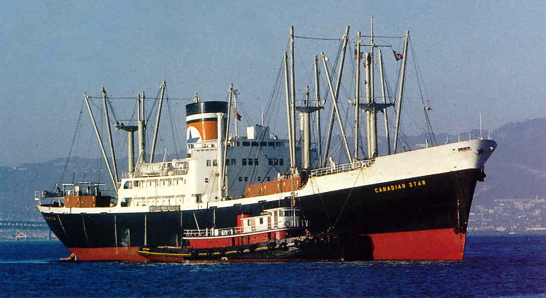 10X15 Ship Photo Blue Star Line Ship ARGENTINA STAR 6X4 Photograph 
